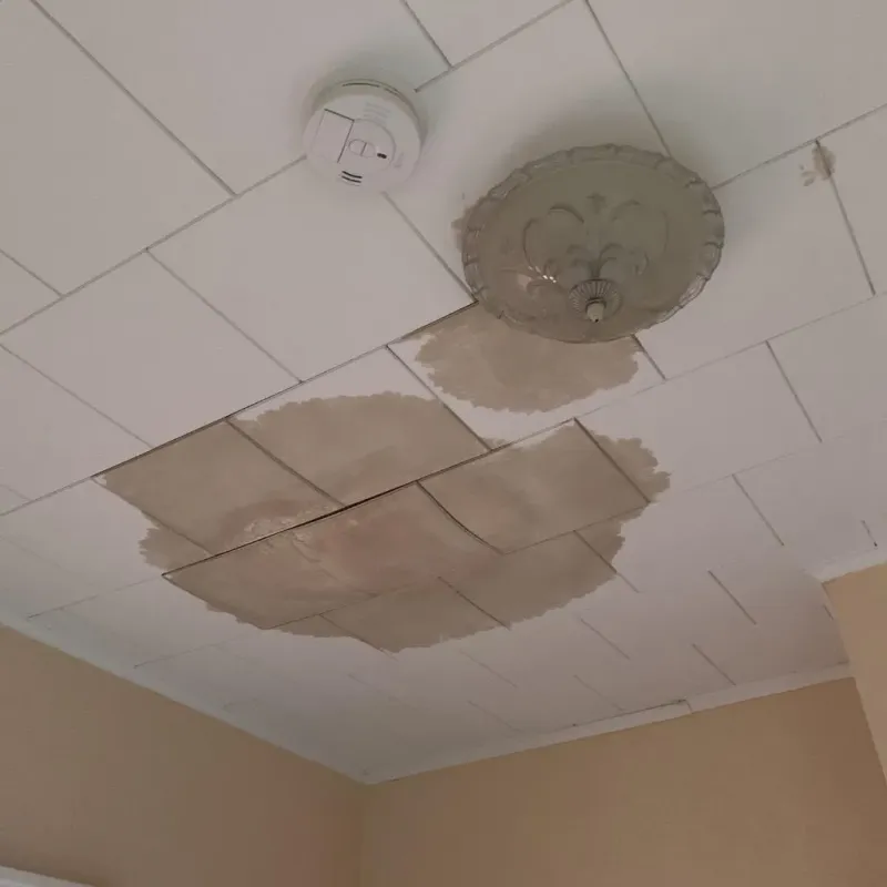 Ceiling Water Damage Repair in Johnson City, NY