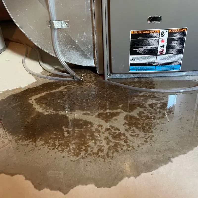 Pipe Burst and Leak Restoration in Johnson City, NY