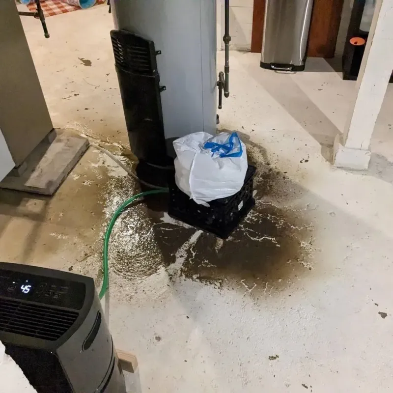 Sewage Backup Cleanup Service in Johnson City, NY